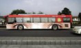 /album/fotogalljerjeja/a1290029119-1289924870-367-bus-04-jpg/