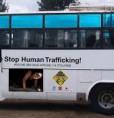 /album/fotogalljerjeja/a1290029143-1289924832-737-bus-21-jpg/