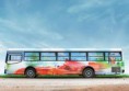 /album/fotogalljerjeja/a1290029146-1289924869-386-bus-19-jpg/